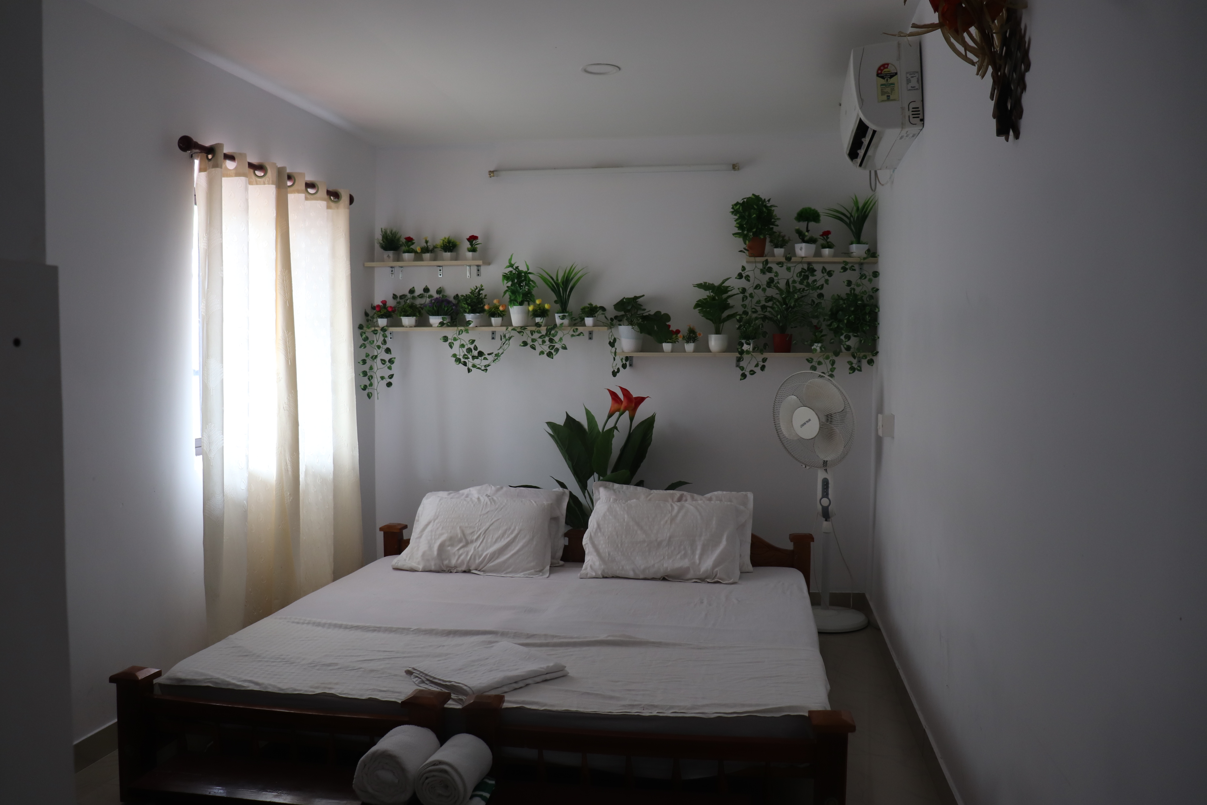 Cozy room setup with white bedding and indoor plant decor