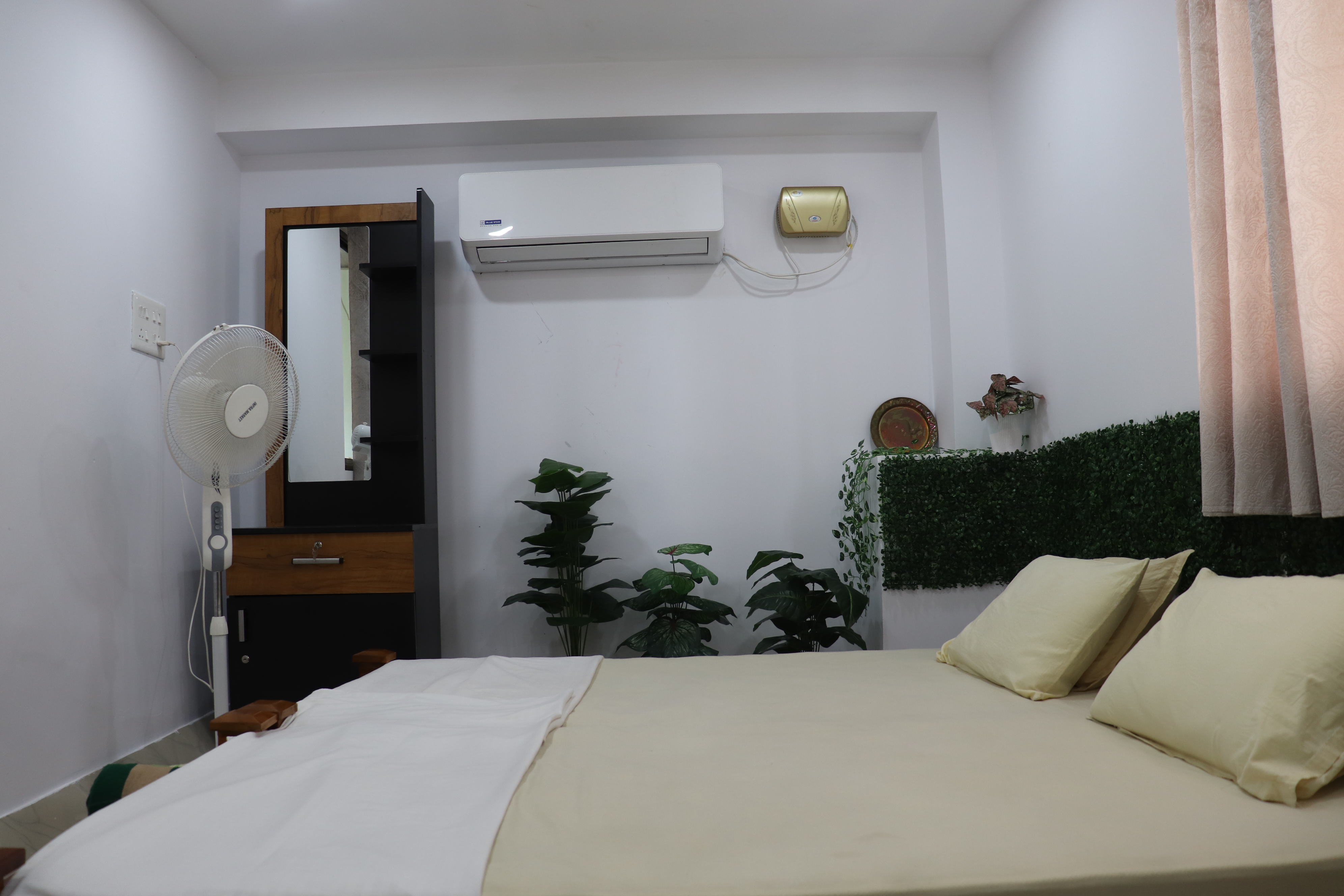 Room interior with bed, AC, and decorative plants